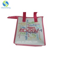 High Quality ECO Friendly PP Non Woven Cooler Bag