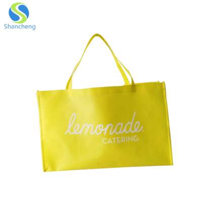 Custom Logo Printed Eco Recyclable Non-Woven Shopping Bag