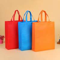 Promotional Custom Logo printed Non Woven Bag